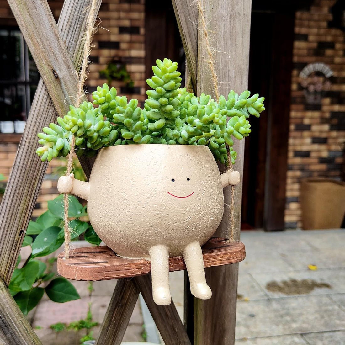 Swing Face Hanging Planter for Home
