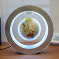Round LED Floating Globe Magnetic Levitation Light